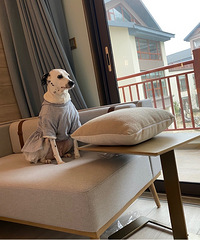 ����ϲ����ɰ�������