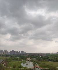 大草坪 空气好