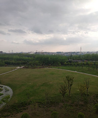 大草坪 空气好