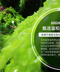 深层补水,长效保湿的面膜,洛芙泉怎么样?好不好用?