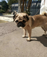 ����������͸�Ȯ��