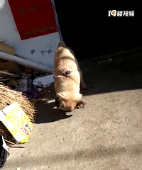 ����������͸�Ȯ��