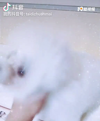 ����̩�ϳ���