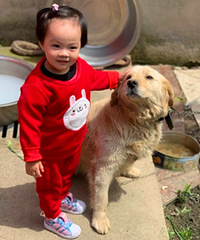 超喜歡狗,根本不怕