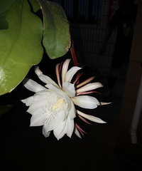 �ѵã��������ˣ�