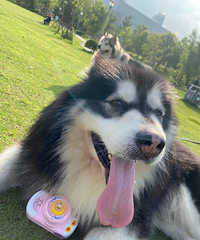 ����㳡������