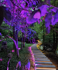 ����ɽ��԰ҹ֮һ��