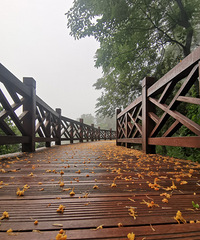 ҹ��������������֪����