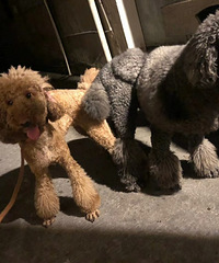 �޹�һ��һĸĸ�ѻ�����