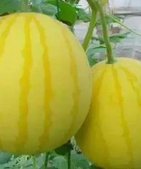 ���Ͼ�Ȼ����ô������Ʒ�֣��������