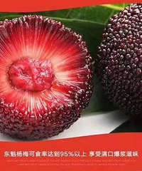 ��÷��������