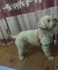 ĸ̩������ 2�� ����16