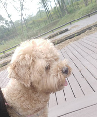 ĸ̩������ 2�� ����16