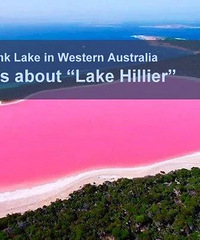 ��Ϊ��֪�ķ�ɫ���֮�����������������С���