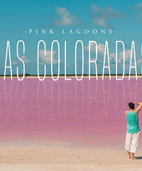 ��Ϊ��֪�ķ�ɫ���֮�����������������С���