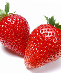 �ܽ��׸������������Mojito,������ʳ�����