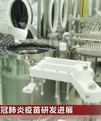 新冠肺炎疫苗三期臨床要完成哪些試驗?中國工程院院士都解釋了