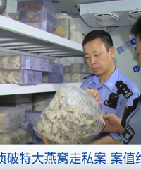 這種燕窩不要買,或存在重金屬超標!海關偵破60億元燕窩走私案