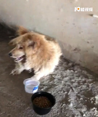 �����ˮ�����ӵ���һ�������и�������������