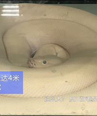 ������̨����1�꣬3�����32�������������ڲ���