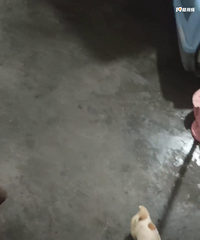 �ܿ�������