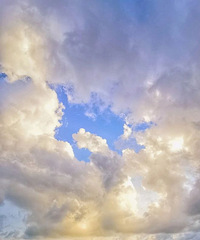 ��������������й��ɾ���������һȺ�˵����а�