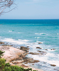 ��������������й��ɾ���������һȺ�˵����а�