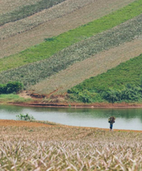 �ⲿ9.0��ը�ѵĹ������ɾ米���Ǳ����ص͹���������ʳ����