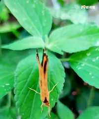 �ʵ���������