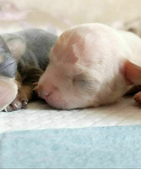 С�̹�������