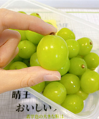 79元享3斤陽光玫瑰青提