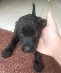 ���ۼ���������������