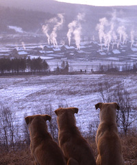 ��Խ30�ꡢ8����þ�ͷ��¼�µ��й��߾�