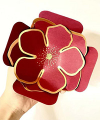 ����ƽƽ�����ϲ�ǺУ�ԭ�������Ķ����Ļ�