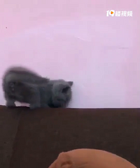 ��è�ܵ����¼�