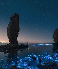 �����������ţ�����5��˽�ص�С���ؾ�