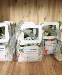 ��򵥵�������� ��������ճ����