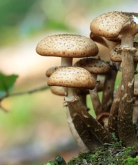 ���Ƕ��ǡ��������ģ�������Ϊ�Ǽ񵽱�����