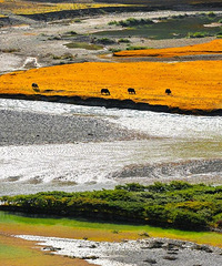 �й�������������еأ�ȥһ����ô����