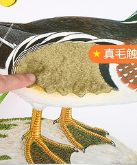 ������С��ȥ���ܵĻ汾