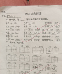 ����д��