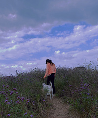 �򻨴���һֻ��