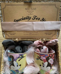 ��ʿ���޶������±��ӣ����׾��Զ�һ�޶�