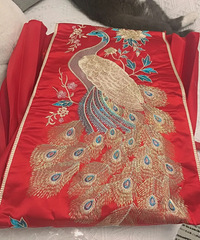 ��������������Ҳ���300��Ǯ�Ŀ���