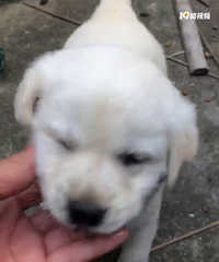 �����������¼�