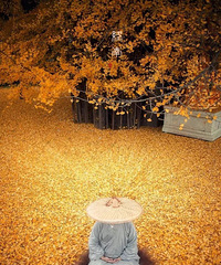 ���°�ȫ�����ӹ��͵�ͼ���������ѵġ������������ӡ�