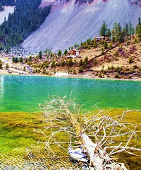 ������һ�������ؾ����ȵ��Ƿ���10����ȴ�͵�����㱻��������