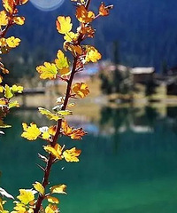 ��֪���������ѧ���ܳ�ʡ��