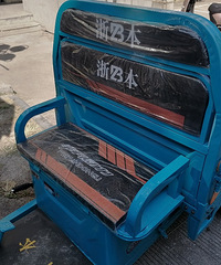 ȫ�µ綯���ֳ�ת��