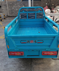 ȫ�µ綯���ֳ�ת��